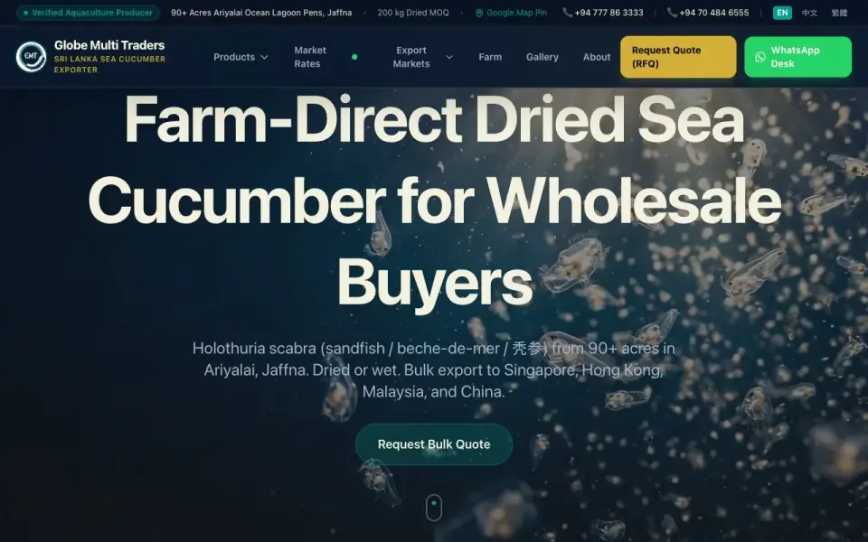 Globe Multi Traders website screenshot