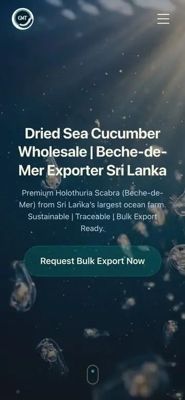 Globe Multi Traders E-Commerce Platform Preview Mobile